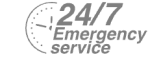 24/7 Emergency Service Pest Control in Richmond, TW9, TW10. Call Now! 020 8166 9746
