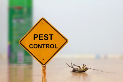 Pest Contol in Richmond, TW9, TW10. Call Now 020 8166 9746